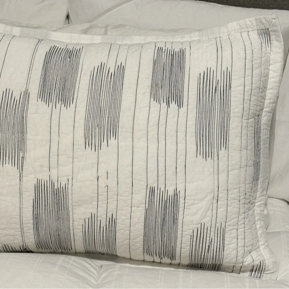 Crate&Barrel Embroidered Contrast Weave Standard Cotton Sham Pillow Case